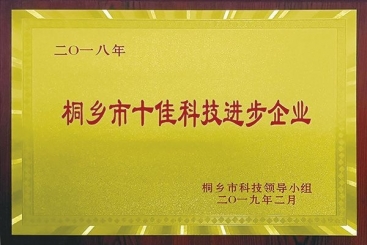 PG电子·麻将胡了官方网站集团荣获2018年桐乡市十佳科技进步企业